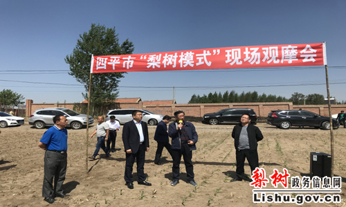 梨树县林海镇有多少人口_林海主持人的身高多少(2)