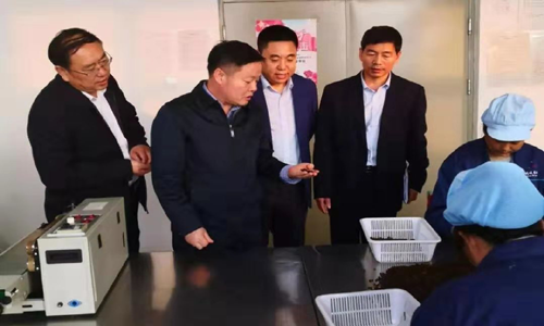 县政府副县长高飞,新开区党工委书记康宁,梨树经开区党工委书记王